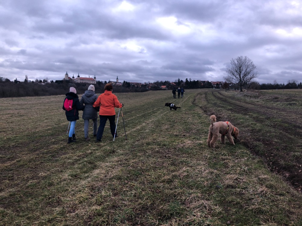 Ze zpívacího pobytu. 2 účastnice jdou spolu s průvodkyní po louce, vedle a před nimi jsou vodící pejsci, kteří se venčí, Úplně vpředu je zbytek skupiny. Je to foceno v únoru, počasí bylo lehce ponuré a takové tajemné, pole je v hibernaci. I tak je ta fotka v něčem kouzelná.
